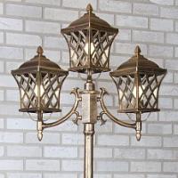 Фонарный столб Elektrostandard Cassiopeya F/3 a025298 фото Фонарный столб Elektrostandard Cassiopeya F/3 a025298