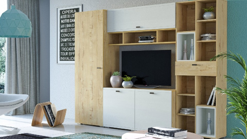 Стенка для гостиной Snow wood. Фото №1