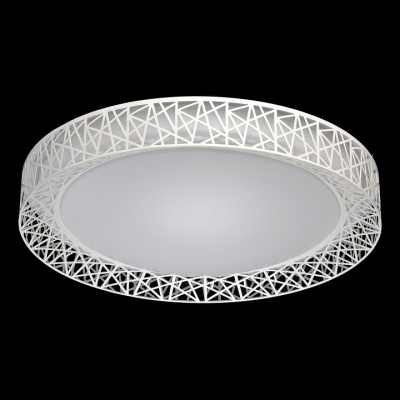 Накладной светильник MW-Light Ривз 2 674012201. Фото №2