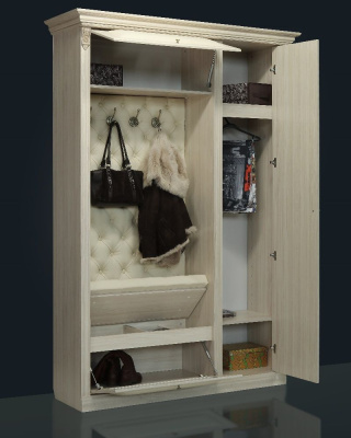 Прихожая Благо 5 Б 5.1. Фото