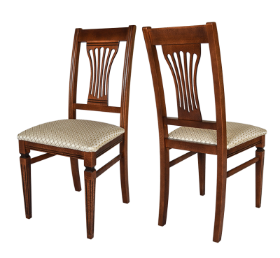 Стул  Премьер. Фото