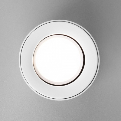 Накладной светильник Elektrostandard DLN116 a050672. Фото