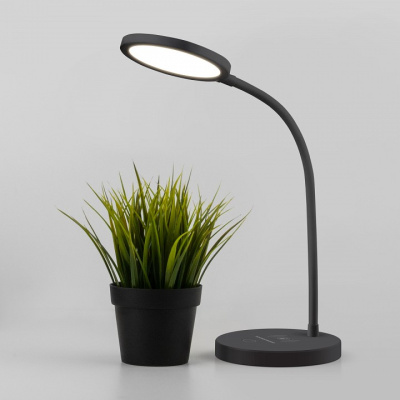 Настольная лампа офисная Elektrostandard Tiara a048743. Фото №2